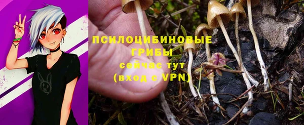 гашиш Осташков