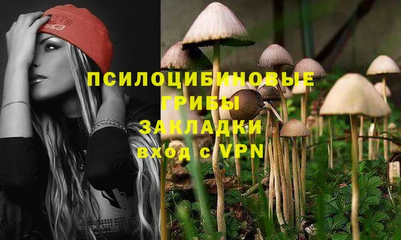 Галлюциногенные грибы Cubensis  Калининец 